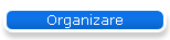 Organizare