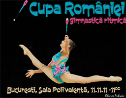 Cupa Romaniei 2011