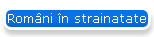 Romni n strainatate